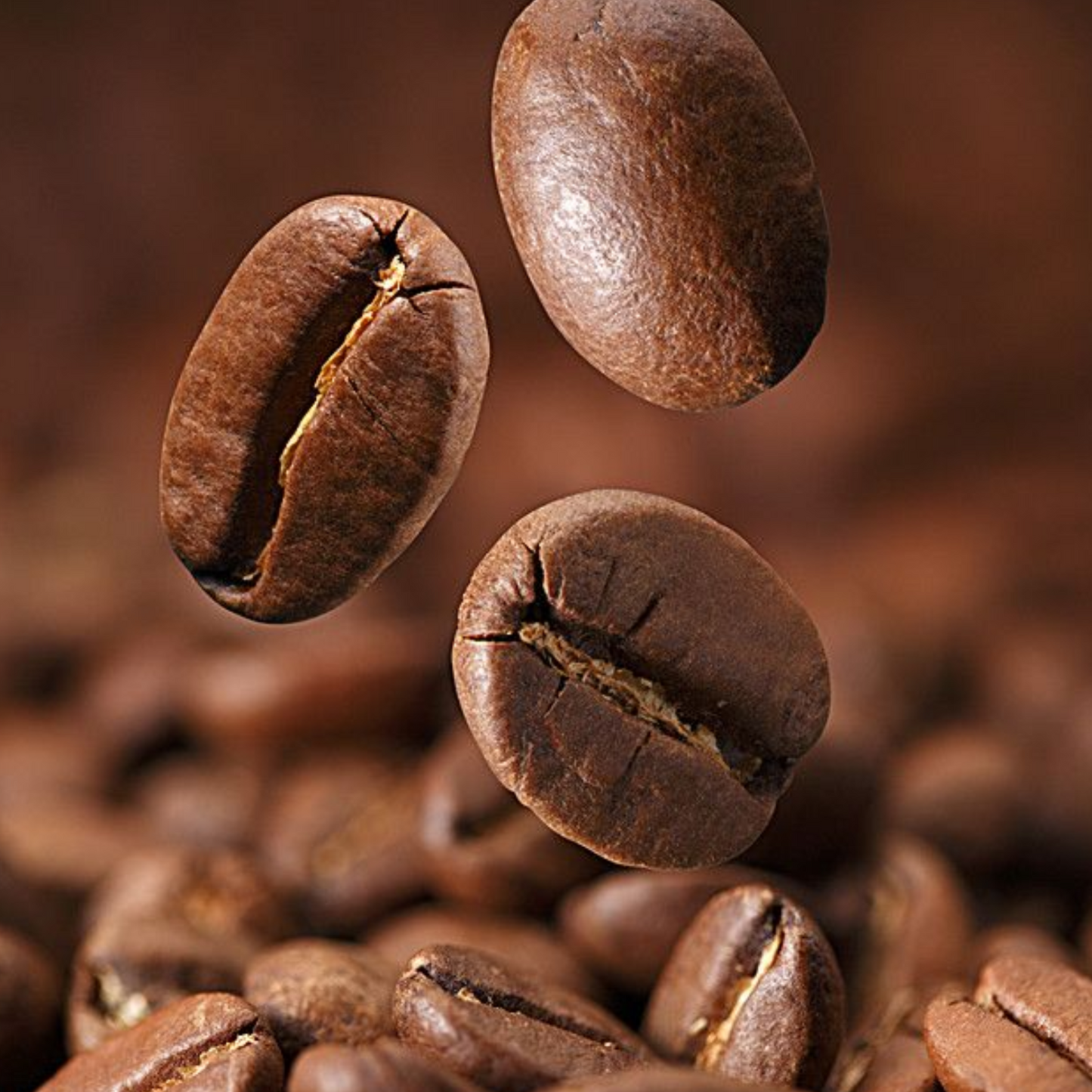 FRESH COFFEE SHOP